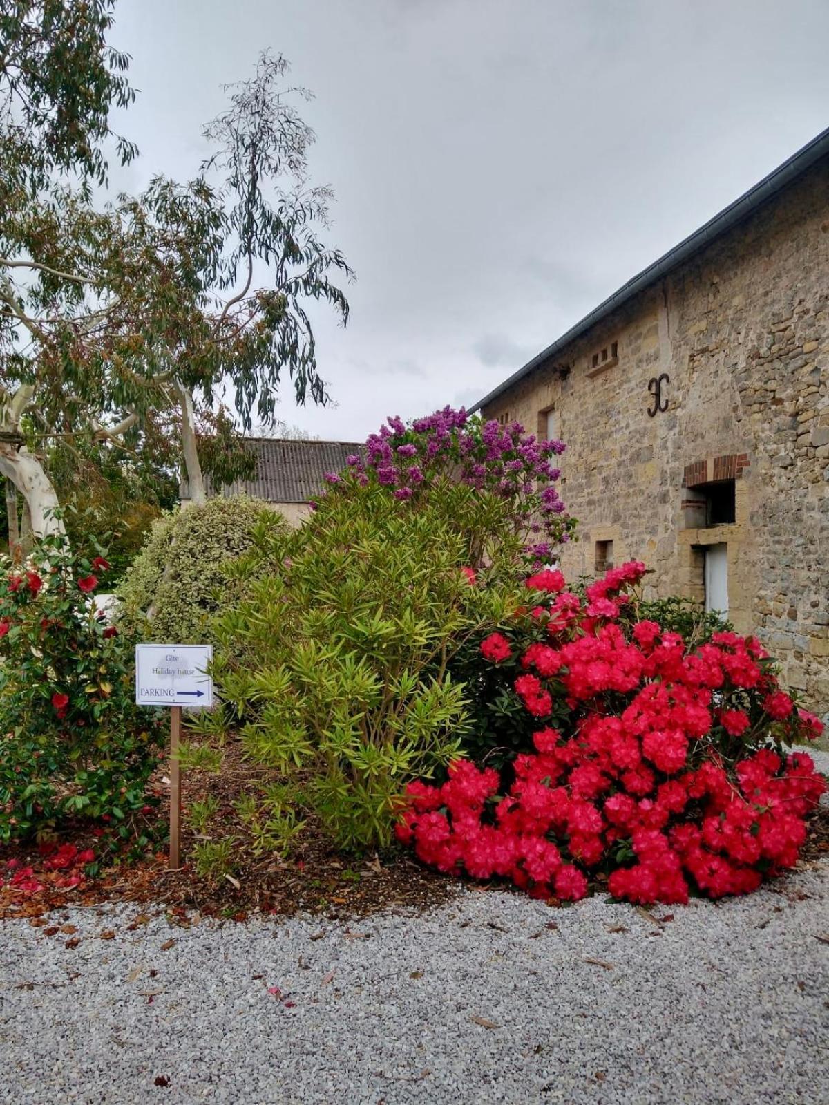 Les Chambres D'Omaha Beach Etablissement Avec Deux Chambres D'Hotes, Petit-Dejeuner Compris Fait-Maison Et Produits Locaux Vierville-sur-Mer Eksteriør billede